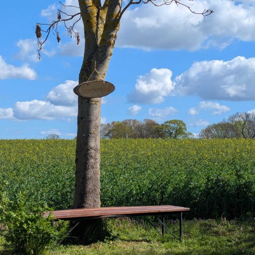 Der Storchenblick